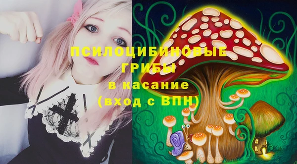 гидропоника Калининец